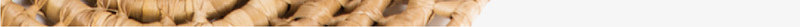 核桃纹理创意核桃图矢量图图标ai_新图网 https://ixintu.com 创意核桃图 卡通核桃 手绘核桃 核桃 核桃图标 核桃实物 核桃手绘 核桃纹理 漂亮核桃 矢量核桃 野生核桃 矢量图