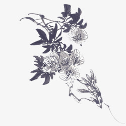 水墨菊花素材