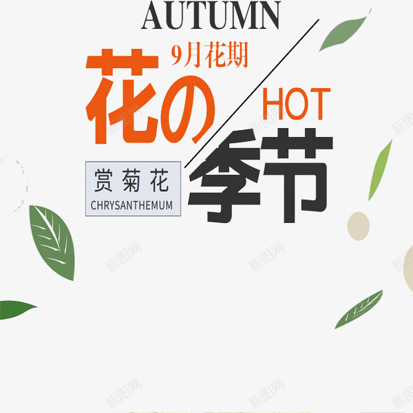 花的季节png免抠素材_新图网 https://ixintu.com 九月花期 绿叶 艺术字 花的季节 赏菊花 飘落