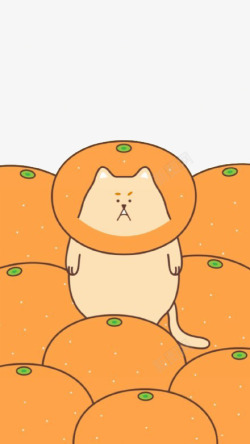 橘子动物橘子猫高清图片