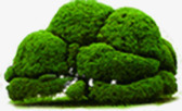 绿色模糊远景树木png免抠素材_新图网 https://ixintu.com 树木 模糊 绿色 远景