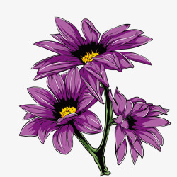 紫色菊花矢量图素材