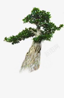 绿色个性朦胧大树png免抠素材_新图网 https://ixintu.com 个性 大树 朦胧 绿色