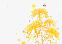 菊花上的蜜蜂素材