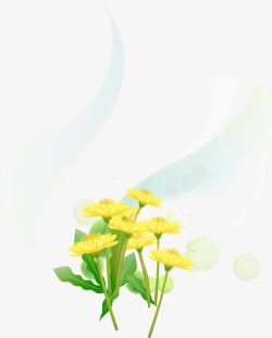 黄色野菊花花纹装饰素材