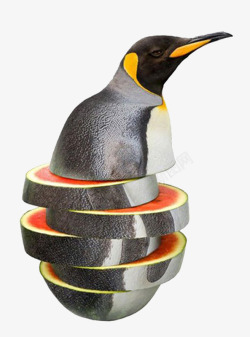 奇奇怪怪奇奇怪怪的蔬果企鹅高清图片