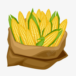 苞谷玉米高清图片