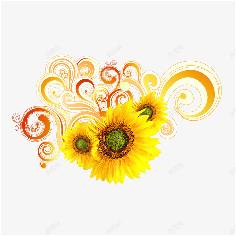 花边png免抠素材_新图网 https://ixintu.com 花边图案 装饰花边 黄色菊花
