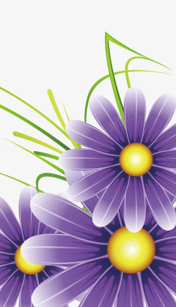 紫色菊花矢量图素材