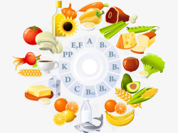 食物参照表食物营养环状图表矢量图高清图片