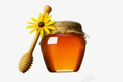 一小瓮蜂蜜素材