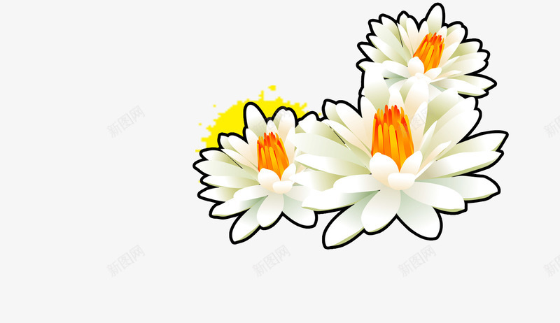 花卉专辑png免抠素材_新图网 https://ixintu.com 白色的花 花卉专辑 菊花 装饰元素
