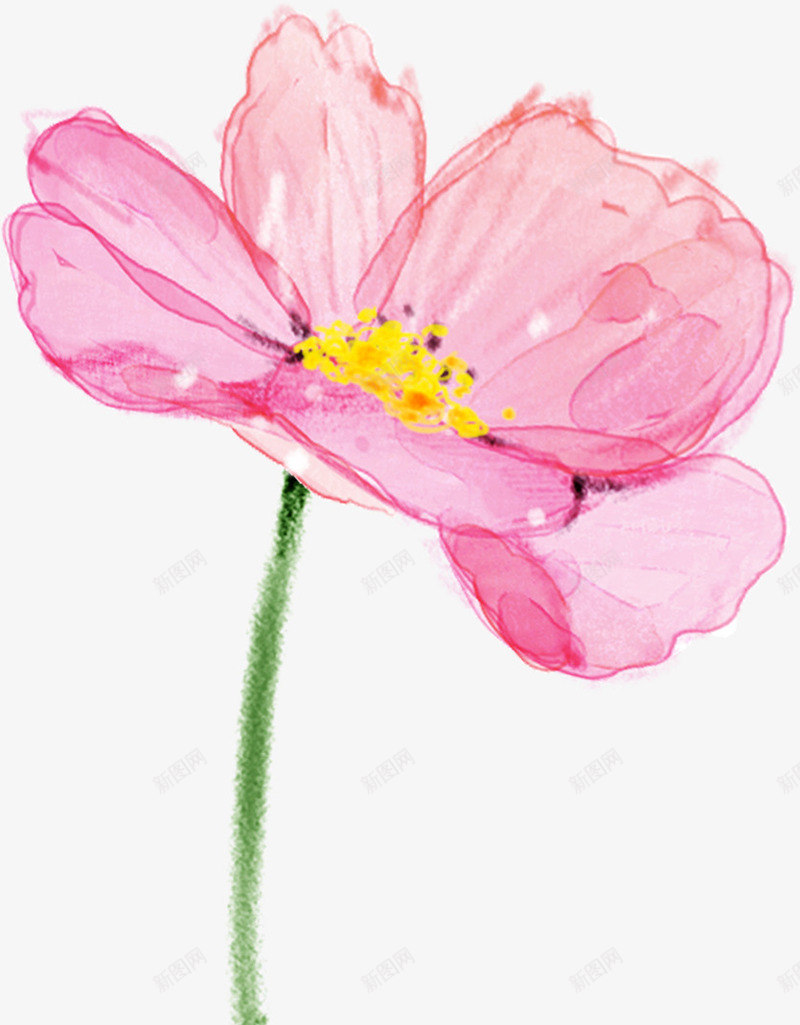 手绘粉色花卉个性展板png免抠素材_新图网 https://ixintu.com 个性 展板 粉色 花卉