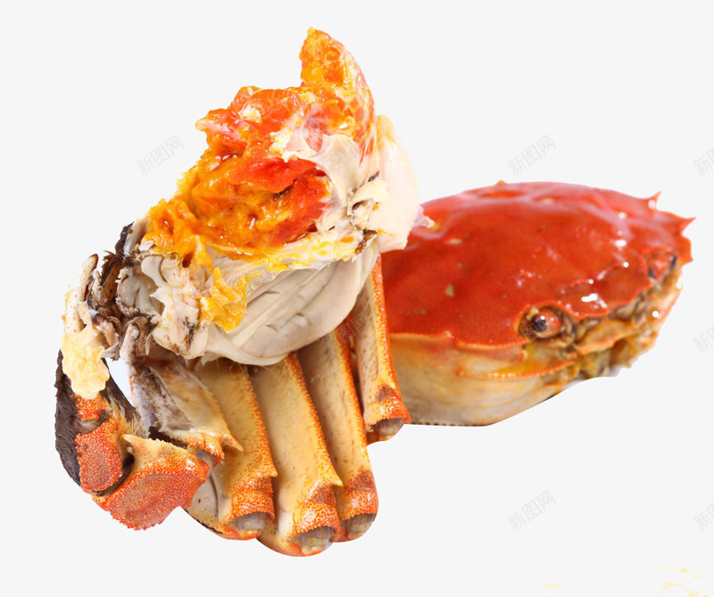 红焖大杂蟹png免抠素材_新图网 https://ixintu.com 海鲜 红色 蟹黄 食物