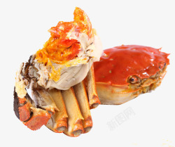 红焖红焖大杂蟹高清图片