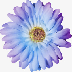 蓝紫色菊花花卉素材