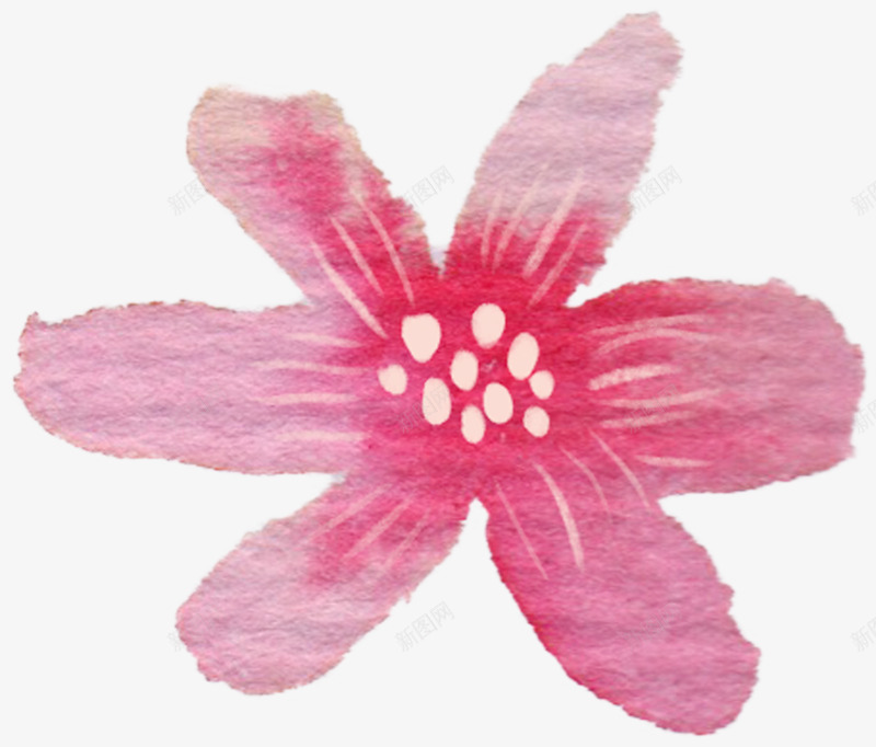粉色个性花蕊花朵png免抠素材_新图网 https://ixintu.com 个性 粉色 花朵 花蕊 设计