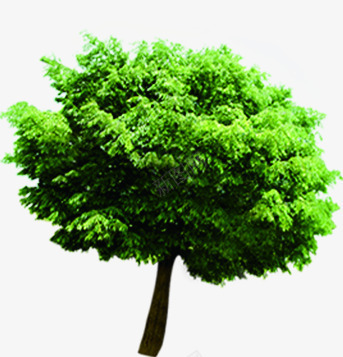 绿色环保大树模糊png免抠素材_新图网 https://ixintu.com 大树 模糊 环保 绿色