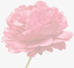 粉色模糊创意花朵素材