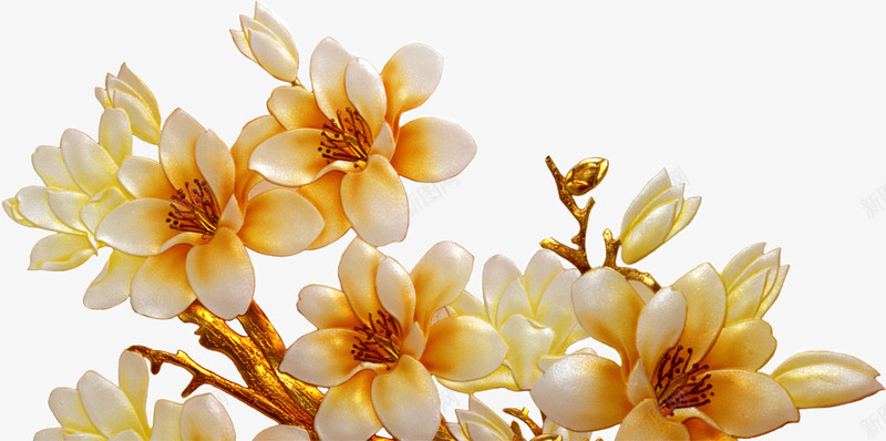 金色鲜花png免抠素材_新图网 https://ixintu.com 漂亮 金色 鲜花