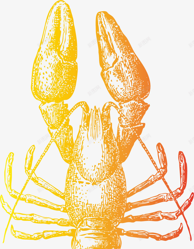小龙虾图标标识矢量图ai_新图网 https://ixintu.com 动物设计 南极虾 小龙虾设计 手绘动物 手绘虾子 特种虾 矢量图