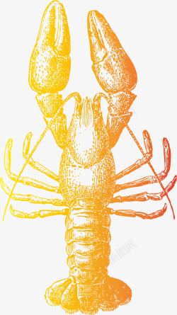 南极虾小龙虾图标标识矢量图高清图片