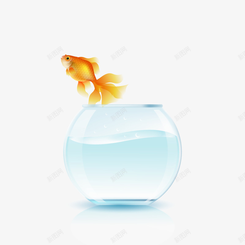 一条金鱼矢量图ai免抠素材_新图网 https://ixintu.com 3D PNG免抠图下载 宠物 玻璃罐 装饰 鱼缸 矢量图