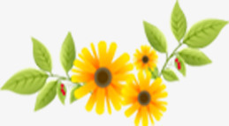 时尚黄色花朵模糊树叶png免抠素材_新图网 https://ixintu.com 时尚 树叶 模糊 花朵 黄色
