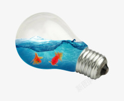海洋灯泡素材