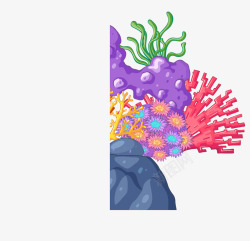 多彩珊瑚海洋植物多彩珊瑚高清图片
