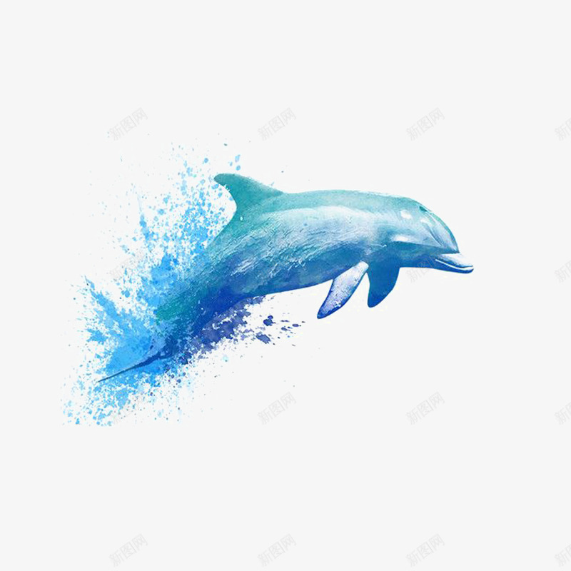 水花和海豚png免抠素材_新图网 https://ixintu.com 水彩 水花 海豚 蓝色 装饰图 装饰画