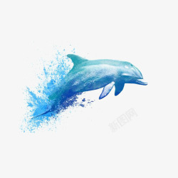 水彩海豚水花和海豚高清图片