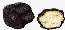 黑松露蘑菇黑松露高清图片