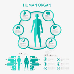 绿色医疗信息图矢量图素材