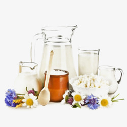 鲜花和牛奶丰盛的早餐食物高清图片