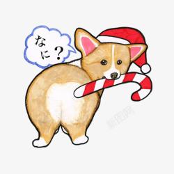 宠物圣诞礼帽手绘柯基犬高清图片