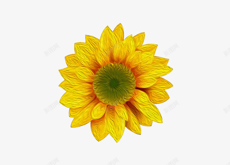 菊花png免抠素材_新图网 https://ixintu.com 油画 菊花素材 黄色