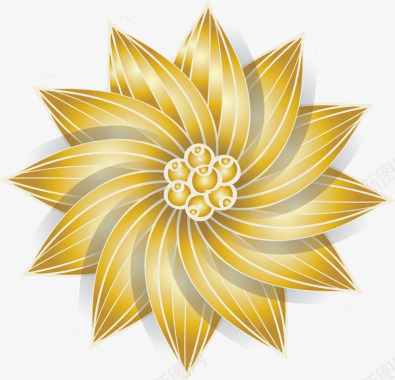 精致金色的菊花矢量图图标图标