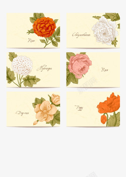 绣球玫瑰风铃草6款复古花卉卡片高清图片