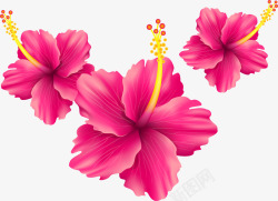 粉色散落的花朵素材