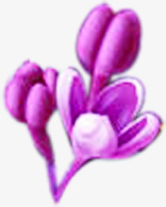 紫色模糊花朵装饰春天png免抠素材_新图网 https://ixintu.com 春天 模糊 紫色 花朵 装饰