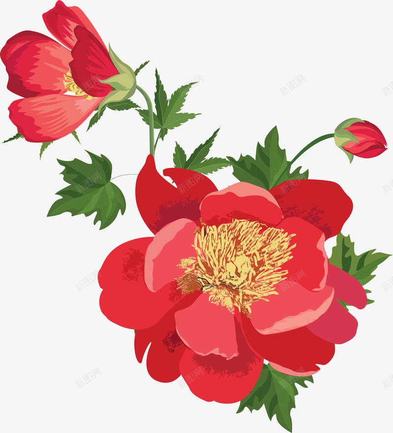红色盛开的鲜花png免抠素材_新图网 https://ixintu.com 唯美 手绘 水彩 漂亮 花卉 花朵 装饰