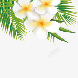 白色花瓣植物卡通插画素材
