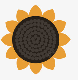 葵花籽免抠素材卡通扁平化向日葵矢量图高清图片