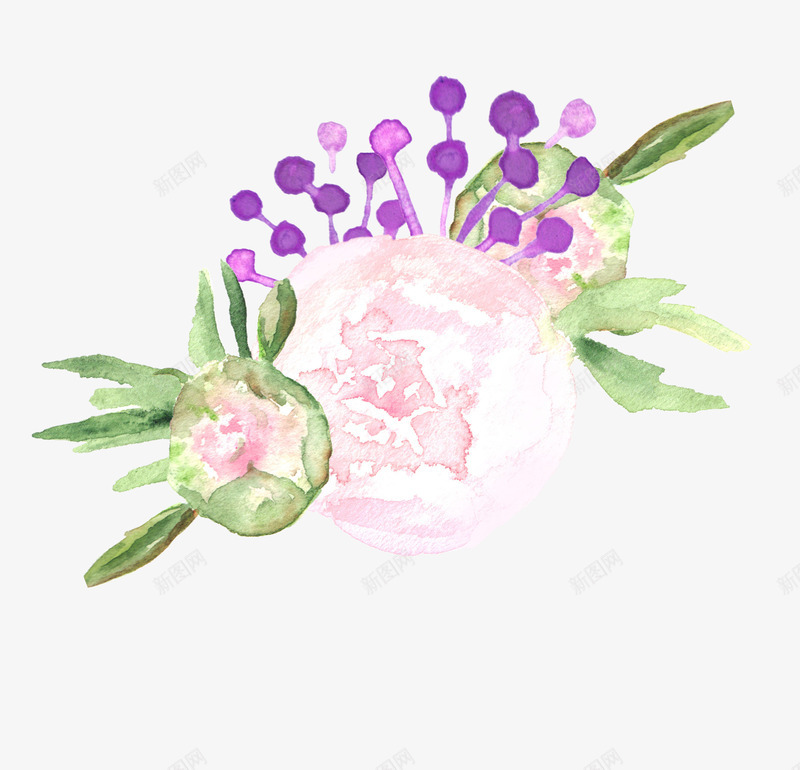 手绘花卉png免抠素材_新图网 https://ixintu.com 唯美花卉 手绘 手绘花卉 手绘花草 月季花 水墨花卉 水彩花卉 牡丹 玫瑰花 绿色植物 花卉 花卉设计 花草 飘落