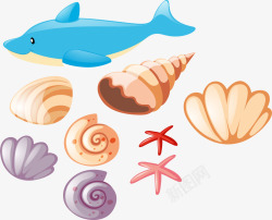 美丽的贝壳可爱蓝色海豚矢量图高清图片