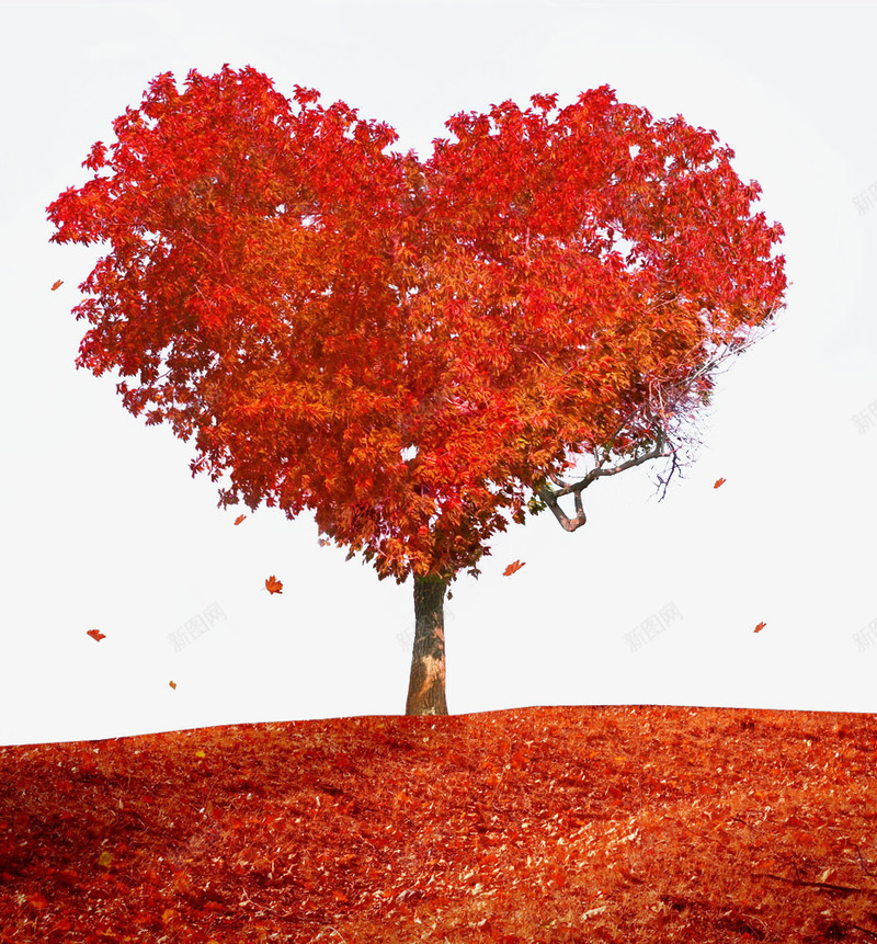 红色爱心树png免抠素材_新图网 https://ixintu.com 树 爱心 红色 美丽 风景