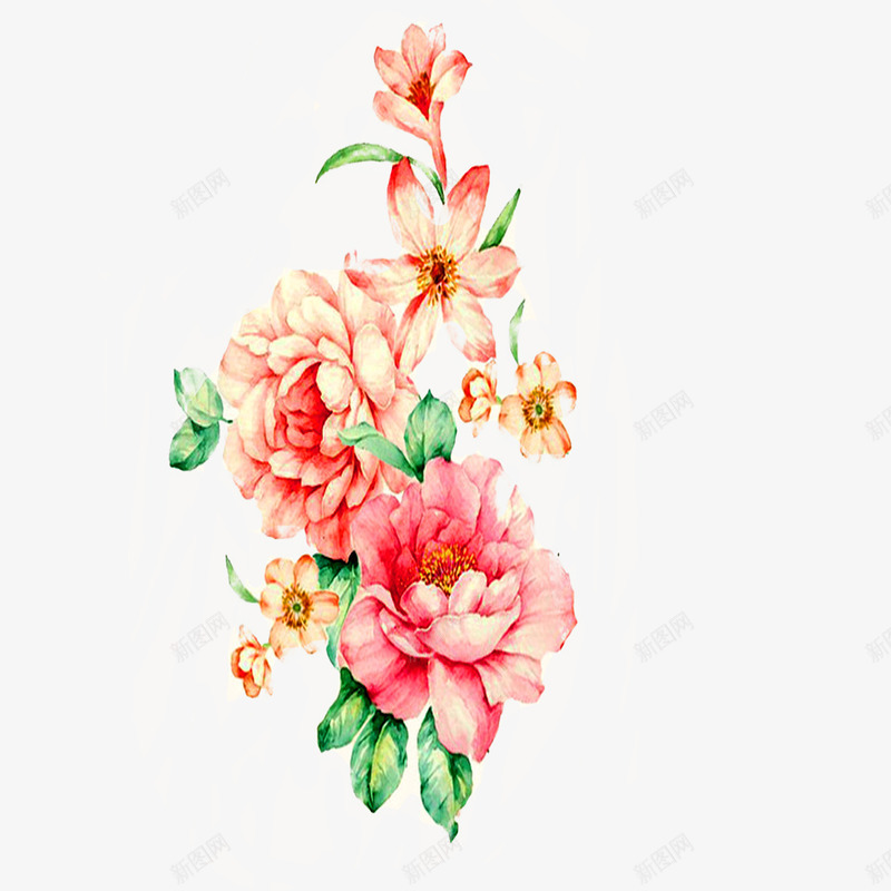 国画牡丹png免抠素材_新图网 https://ixintu.com 手绘 牡丹 红色 艺术画