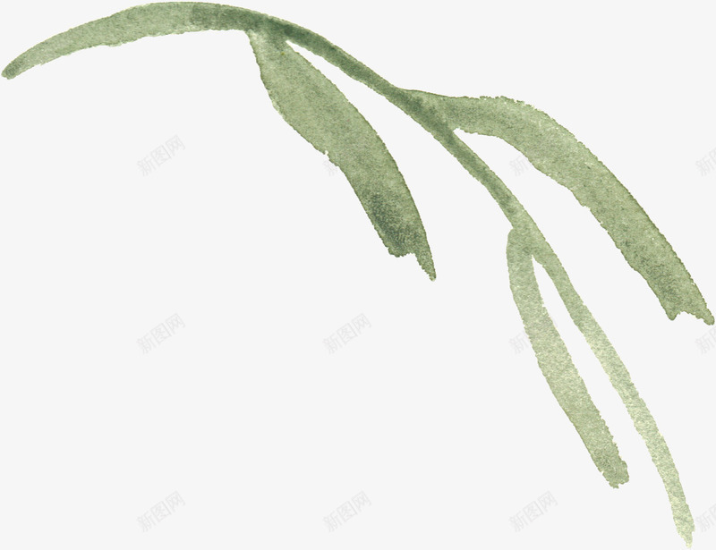 水彩手绘植物png免抠素材_新图网 https://ixintu.com 唯美花卉 手绘 手绘花卉 手绘花草 月季花 水墨花卉 水彩花卉 牡丹 玫瑰花 绿色植物 花卉 花卉设计 花草 飘落