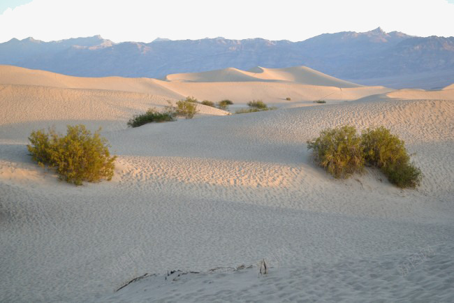 夕阳下的沙漠png免抠素材_新图网 https://ixintu.com 太阳 植物 沙漠 阳光